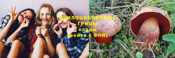 прущий лед Алексеевка