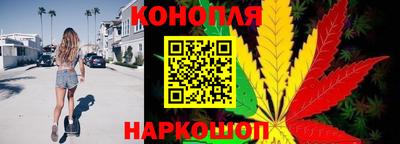 мяу мяу мука Нарткала