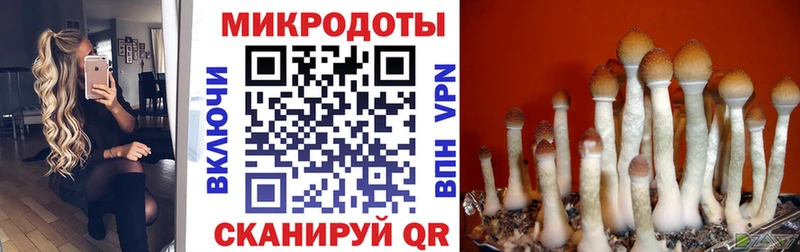 Псилоцибиновые грибы мухоморы  Советский 