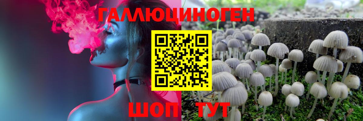 Советский  Галлюциногенные грибы GOLDEN TEACHER  Галлюциногенные грибы Psilocybe  Вход с VPN 